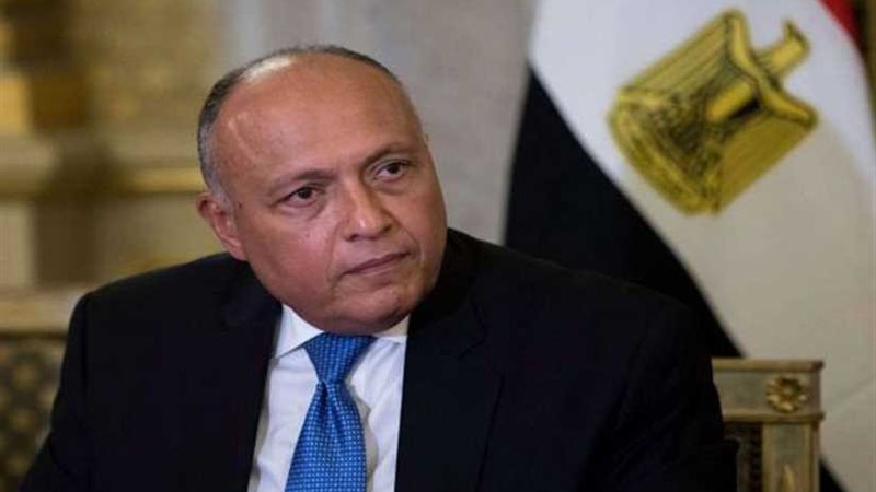 شكري يرأس وفد مصر