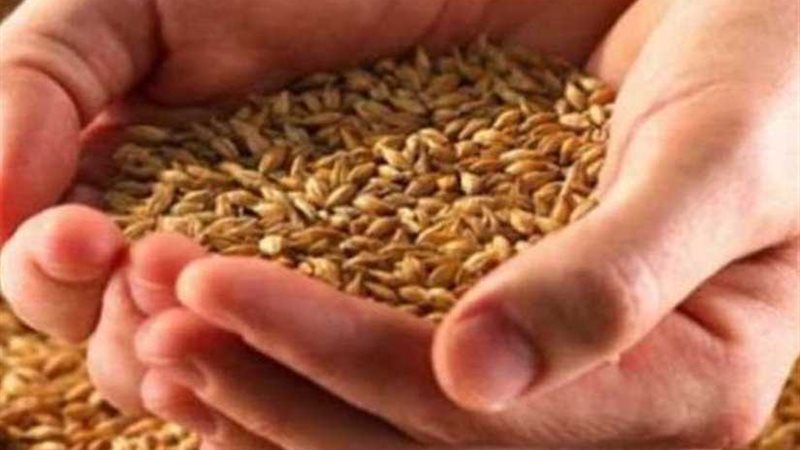 الزراعة: أسعار التقاوي