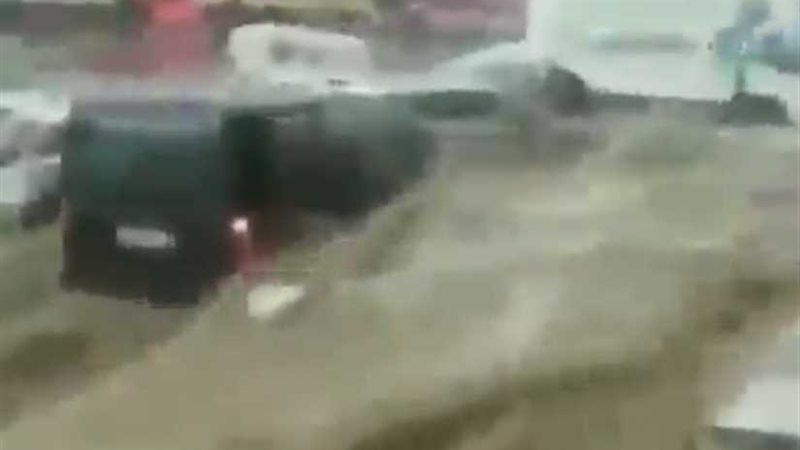 عاجل ..المصريون يردون