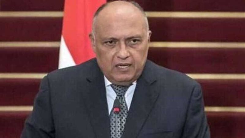 شكري يؤكد دعم مصر