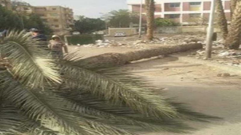 إصابة سيدتين سقطت