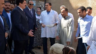 محافظ القليوبية يتفقد القافلة الطبية بمنية السباع