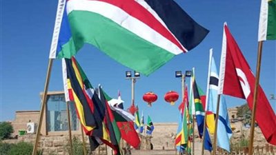 أصحاب المراكب الشراعية يستقبلون ضيوف الأفروصيني بأعلام المهرجان