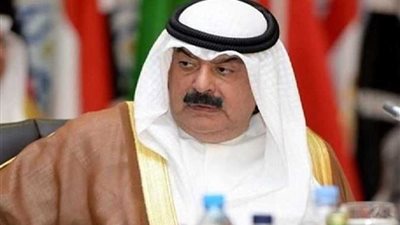 نائب وزير الخارجية الكويتي : مصر تلعب دورا رياديا في المنطقة