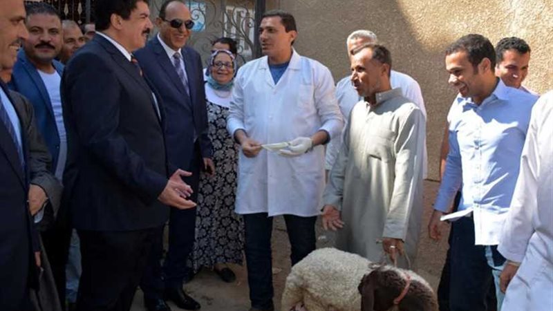 محافظ القليوبية يتفقد