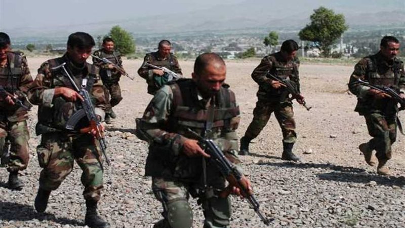 مقتل 53 مسلحا من