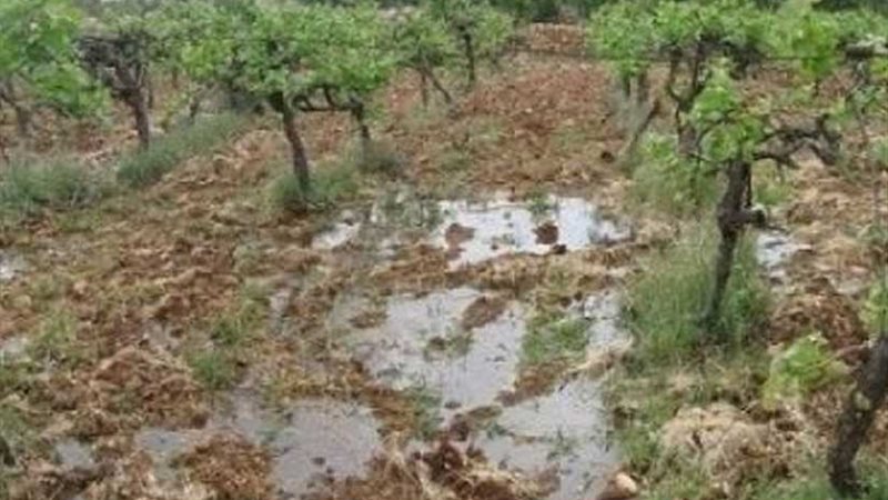 مستوطنون يغرقون الأراضي