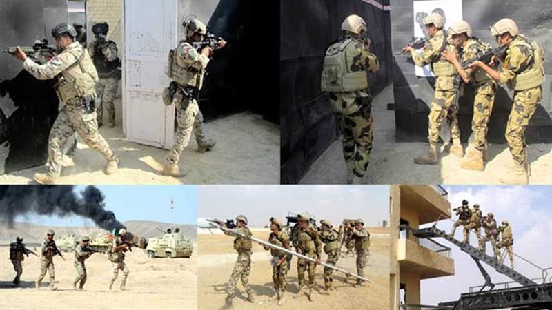 عاجل.. استمرار فعاليات