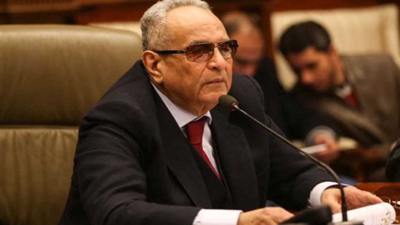 رئيس دستورية النواب