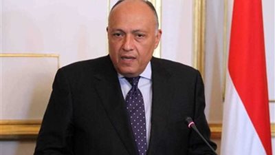 شكري ونظيره الألماني يعقدان جلسة مباحثات بالقاهرة