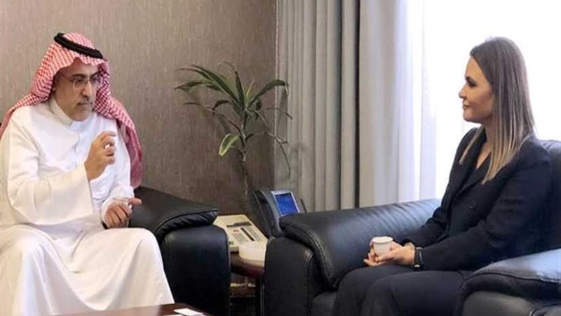 عاجل.. وزيرة الاستثمار