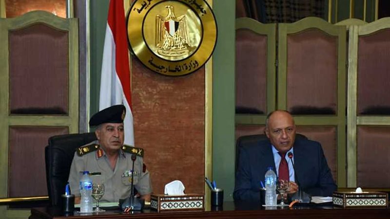 وزير الخارجية يلتقي