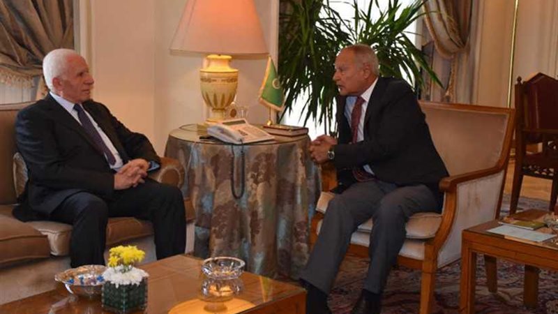 أبو الغيط : الانتخابات