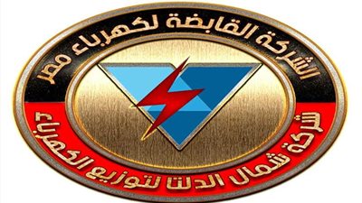 قطع الكهرباء عن منطقة سندوب بالمنصورة.. السبت المقبل