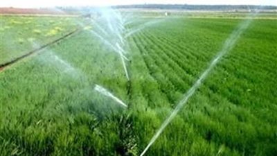 لا صحة لتوجه الحكومة لبيع مياه الري للمزارعين