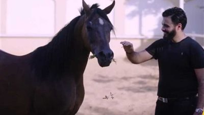 حاتم ستين: التعليم أهم استثمار في الأبناء لخلق جيل واعٍ وقادر على تحمل المسؤولية