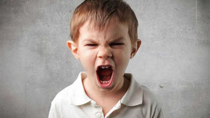 من غير عصبية ولا