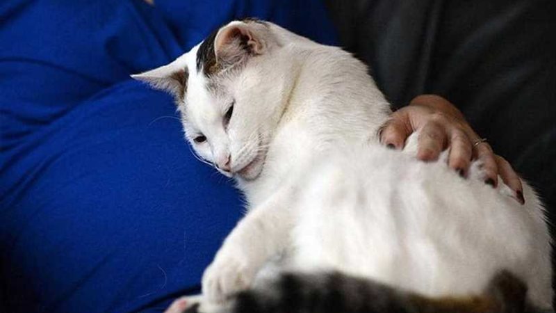 تحذير للحوامل.. هذا