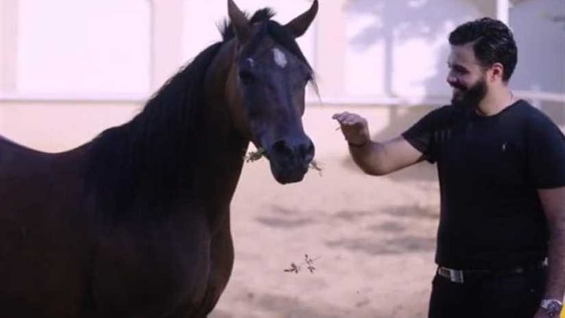 حاتم ستين: التعليم