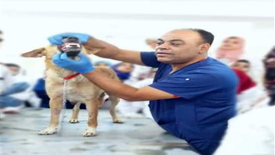 محاضرات علي أنغام الموسيقي بـ طب بيطري المنوفية