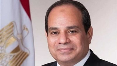 الرئيس السيسي: مكالمتي مع ترامب تناولت القضايا ذات الاهتمام المشترك