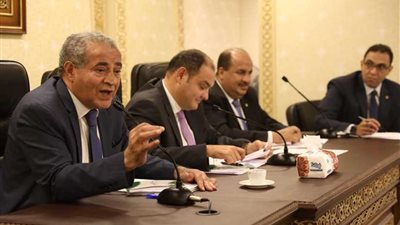 المصيلحي: مؤسسة الرئاسة طلبت معرفة موقف إضافة المواليد على البطاقات