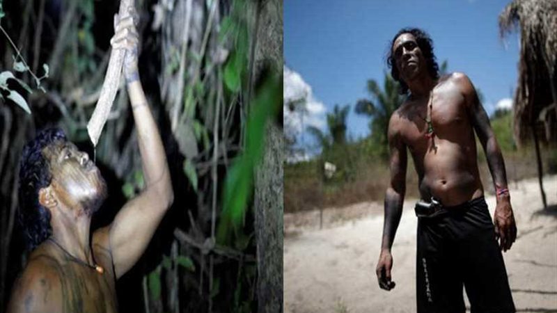 رجلا الغاب سقطا في