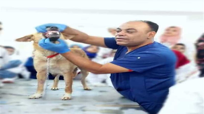 محاضرات علي أنغام