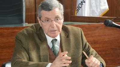 خبير مصري: دمج الأبعاد الاقتصادية والاجتماعية والبيئية ضروري لتحقيق التنمية المستدامة