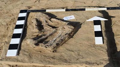 الكشف عن جزء من جبانة بتل حسن داوود بالإسماعيلية