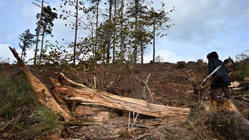 علماء من 153 دولة: