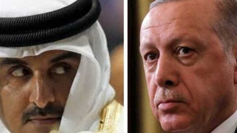 غرام الأفاعي.. معركة