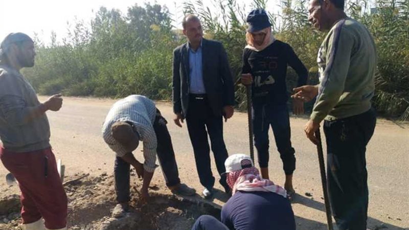 محافظ البحيرة يتابع