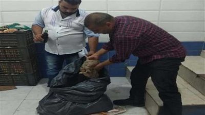 صحة الشرقية: ضبط ٣٤ طن أغذية وغلق ٢ منشأة غذائية مخالفة بديرب نجم والزقازيق