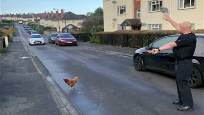 ضابط شرطة يوقف السيارات في الشارع حتى تعبر 