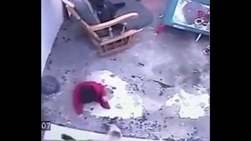 قطة تنقذ طفلا من