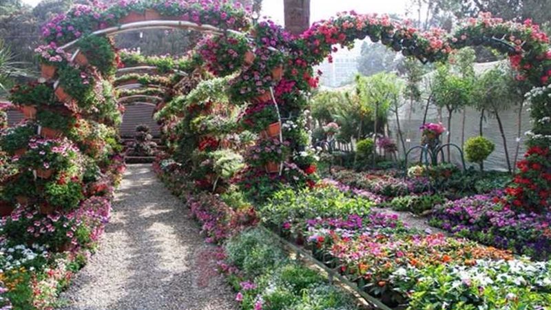 وزير الزراعة يفتتح