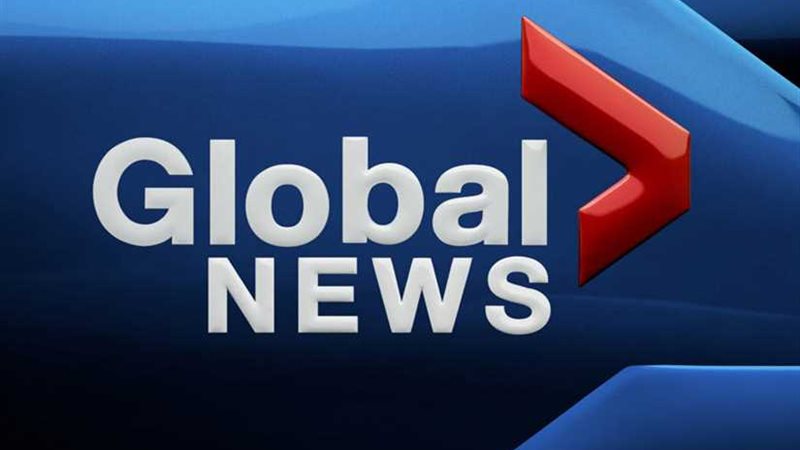 جلوبال نيوز : تنظيم