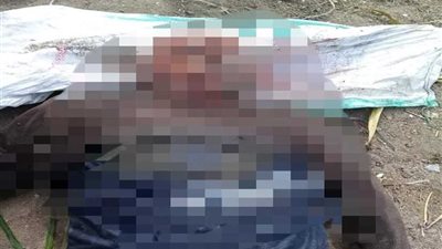 بعد تشكيل فريق بحث.. المباحث الجنائية تكشف لغز مقتل شخص على طريق دفرة بالغربية