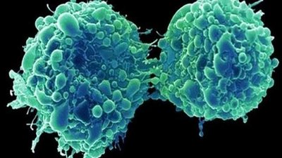 علماء يطورون 