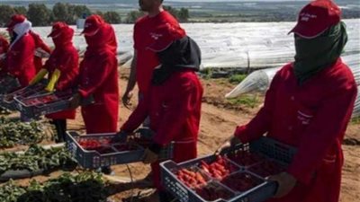 قفزن من السيارة بعد اكتشاف اختطافهن من شخصين لاغتصابهن