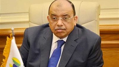 التنمية المحلية : 13.5 مليون جنيه تكاليف تنفيذ 1258 مشروعا صغيرا ومتناهي الصغر