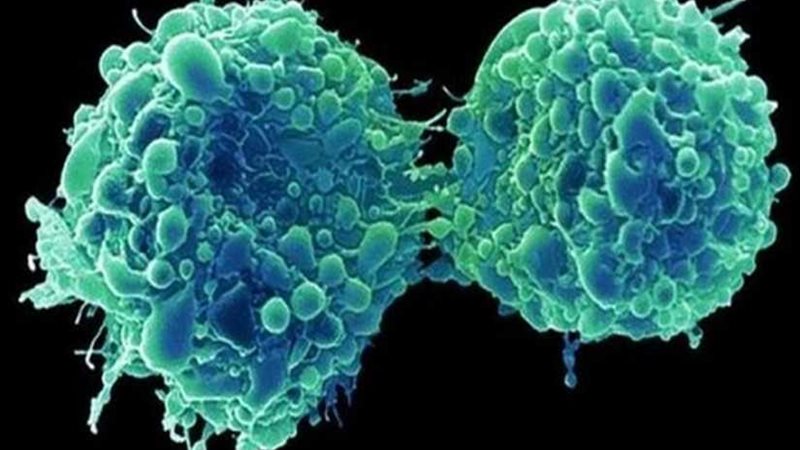 علماء يطورون فيروس