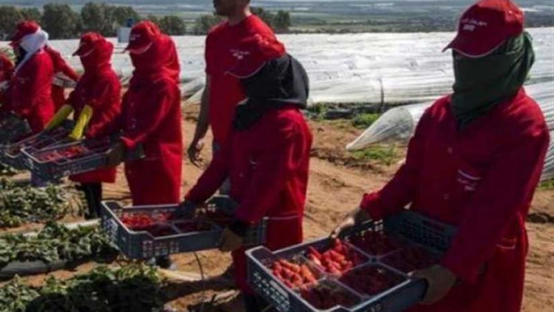 قفزن من السيارة بعد