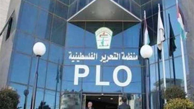 عضو تنفيذية التحرير