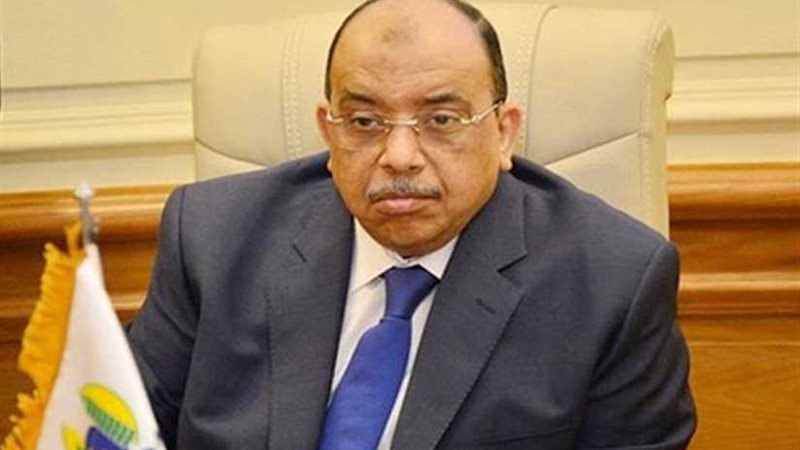 التنمية المحلية :