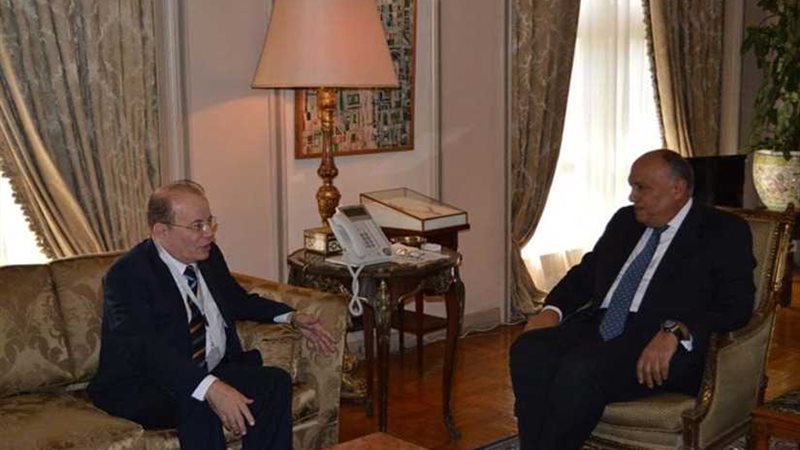 وزير الخارجية يبحث