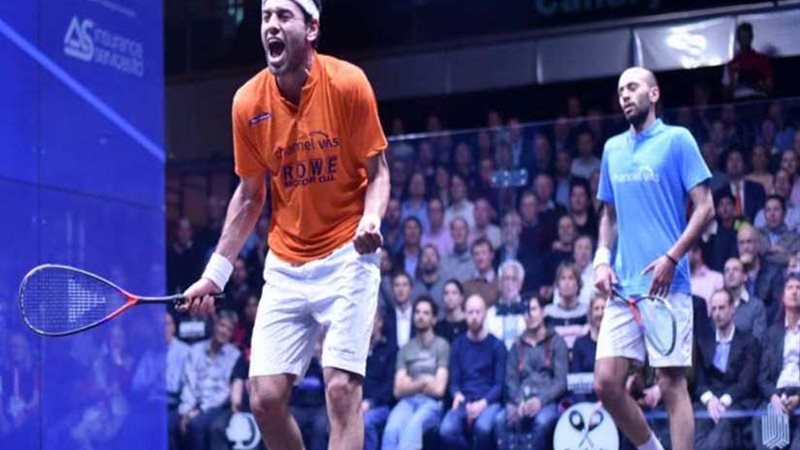 الشقيقان الشوربجي