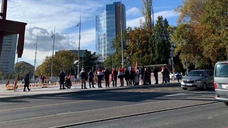 تمخض التنظيم الدولي