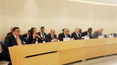 عمر مروان: تفاعل إيجابي مع تقرير مصر المقدم إلى مجلس حقوق الإنسان